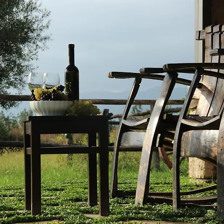 Vineyard Eco Near Dubrovnik * 그루다