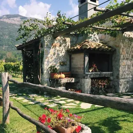 Vineyard Eco Near Dubrovnik 롯지