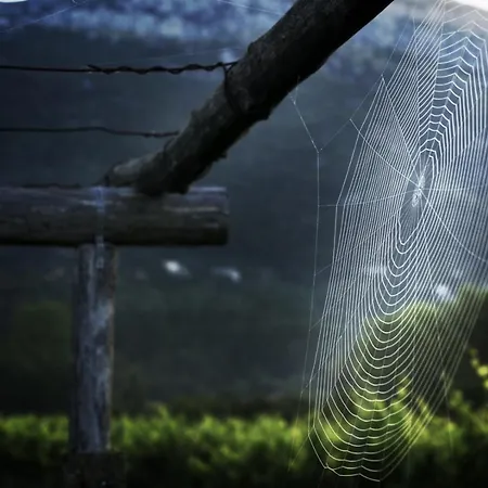 롯지 Vineyard Eco Near Dubrovnik 그루다