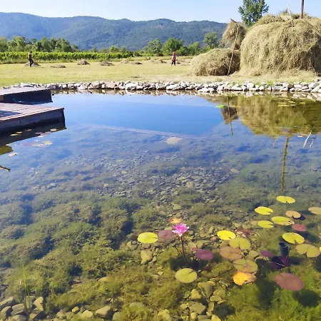Vineyard Eco Near Dubrovnik 롯지