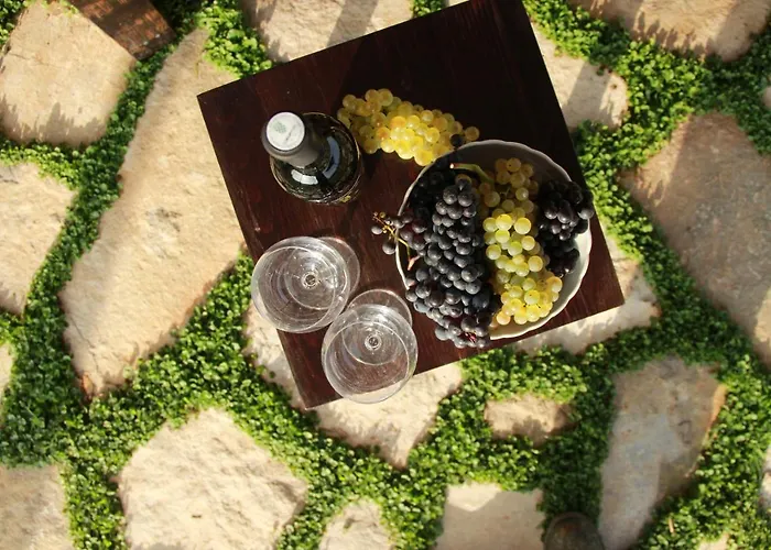 Vineyard Eco Near Dubrovnik Jaktstuga Gruda
