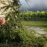 Lodge Vineyard Eco Near Dubrovnik *