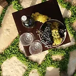 Vineyard Eco Near Dubrovnik Domek letniskowy Gruda