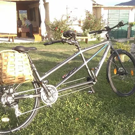 Vineyard Eco Near Dubrovnik Hytte