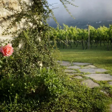 Hytte Vineyard Eco Near Dubrovnik *