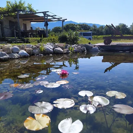 Vineyard Eco Near Dubrovnik Hytte *