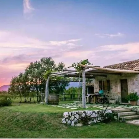 Hytte Vineyard Eco Near Dubrovnik