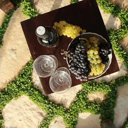 Vineyard Eco Near Dubrovnik Jaktstuga Gruda