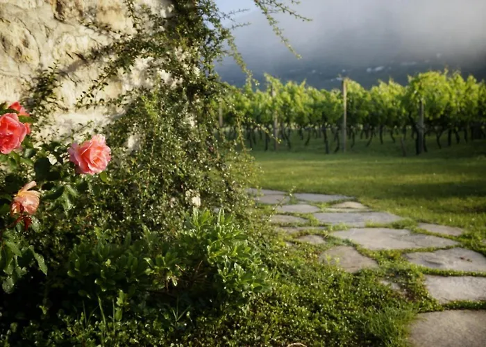 Lodge Vineyard Eco Near Dubrovnik *