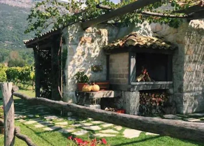 Vineyard Eco Near Dubrovnik Lodge