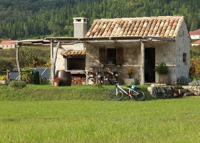 Vineyard Eco Near Dubrovnik Gruda